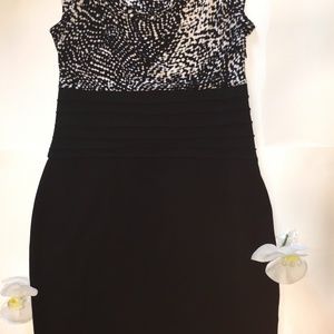 Daisy Fuentes Medium Dress